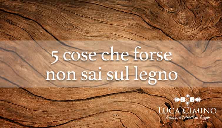 5 cose che forse non sai sul legno